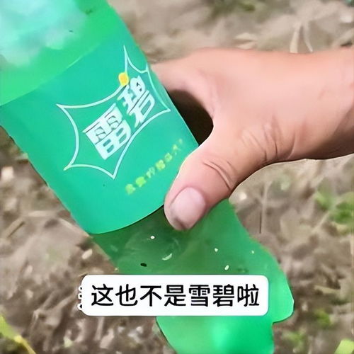 雪碧還是“雪碧”？岳陽外婆誤購“李鬼”飲料引發(fā)笑談
